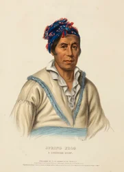 SPRING FROG. A CHEROKEE CHIEF, de History of the Indian Tribes of North America