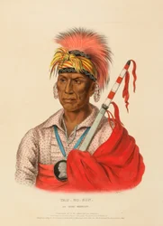 TEH-RO-HON, UN GUERRERO IOWAY, de Historia de las Tribus Indias de Norteamérica