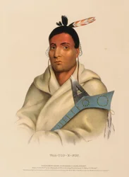 WAA-TOP-E-NOT., de Historia de las Tribus Indias de Norteamérica