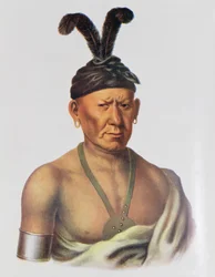 Wakechai o 