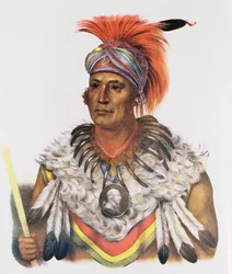 Wapella o el Príncipe Jefe de los Zorros, 1837, ilustración de 