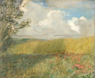 El campo de maíz
