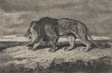 León caminando