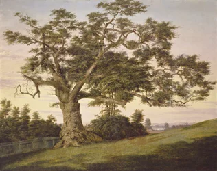 El Roble Charter