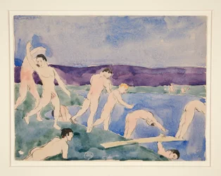 Doce chicos desnudos en la playa
