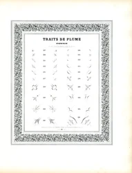 Elementos caligráficos de esquina - Traits de Plume Coins (impresión)