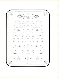 Caligrafía y elementos decorativos (impresión)