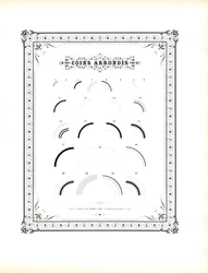 Elementos de esquina redondeada (imprimir)