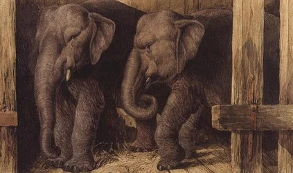 Dos elefantes