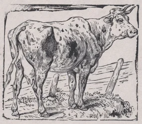 Una vaca