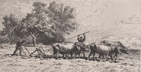 Attelage de Boeufs, 1868