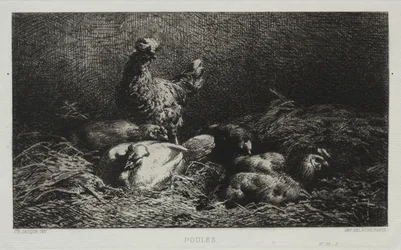 Gallinas