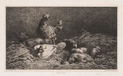 Pollos Poutes, 1867
