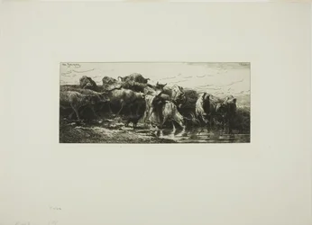 Vacas Bebiendo del Río