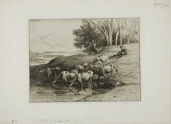 Vacas en el Abrevadero