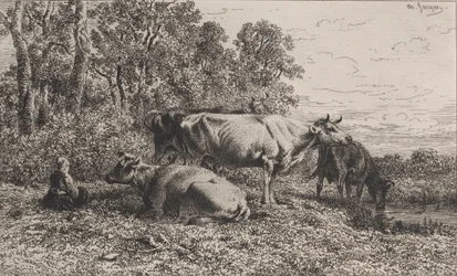 Vacas Holandesas