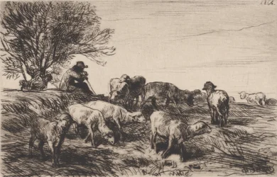 Rebaño de Ovejas, 1864
