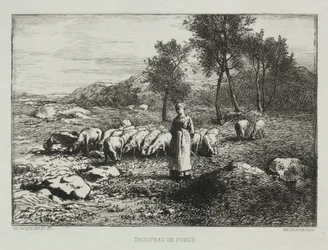 Manada de cerdos, 1868