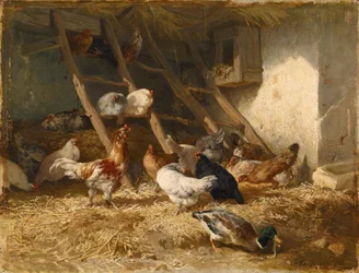 Gallinas