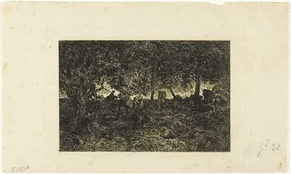 En el bosque