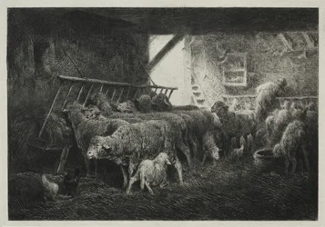 Interior de un cercado de ovejas