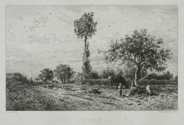 Paisaje
