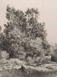 Paisaje, 1864