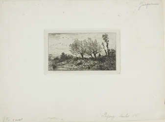 Paisaje, Árboles de Sauce