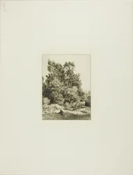 Paisaje con Pastor de Vacas
