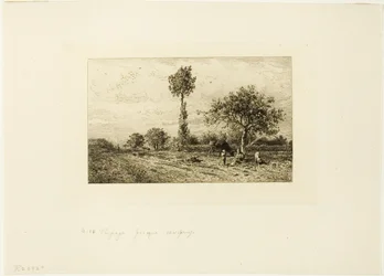 Paisaje con camino curvo