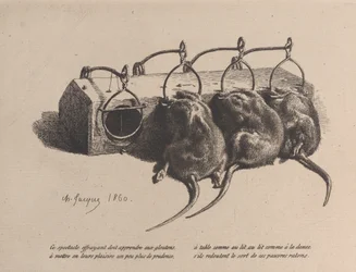 Trampa para ratones
