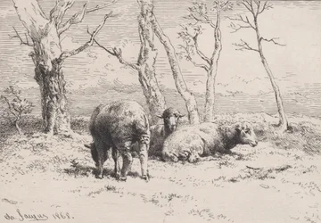 Ovejas, 1868