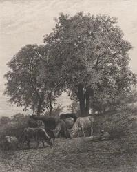 Descanso, 1864
