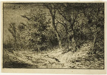 Camino al borde de un bosque