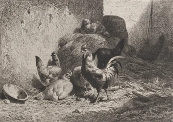 Gallo y gallinas, 1864