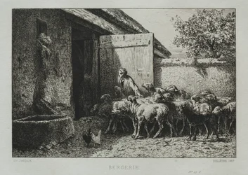 Redil de ovejas