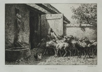 Redil de ovejas