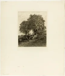 El Descanso