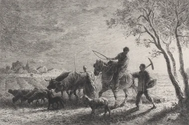 El Regreso del Campo