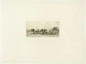 El rodillo