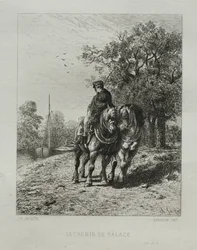 El camino de sirga