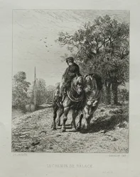El camino de sirga