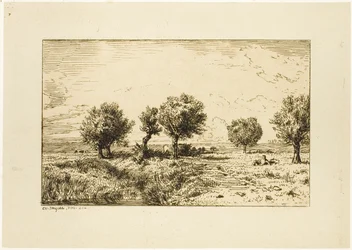 Sauces en un paisaje