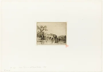 Mujer cuidando dos vacas