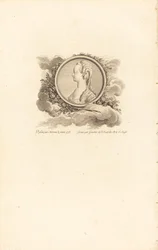 María Antonieta