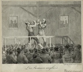 Boxeadores ingleses