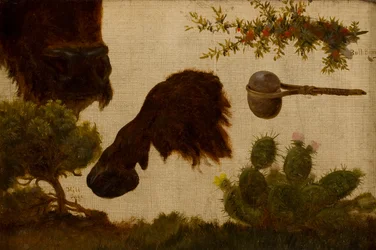 Estudio para “El búfalo herido”: salvia de la colina, cabeza y pezuña de búfalo, baya de toro, hacha de piedra y cactus…