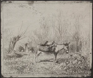 Un Burro en el Campo