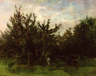 Un Huerto de Manzanas