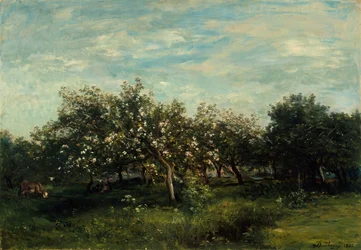 Flores de Manzano